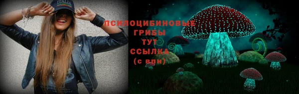 молекула духа Аркадак
