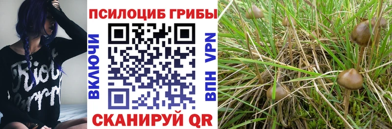 Галлюциногенные грибы Magic Shrooms  Бологое 