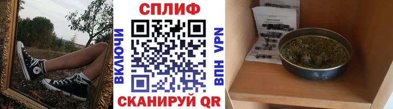 Канабис планчик Бологое